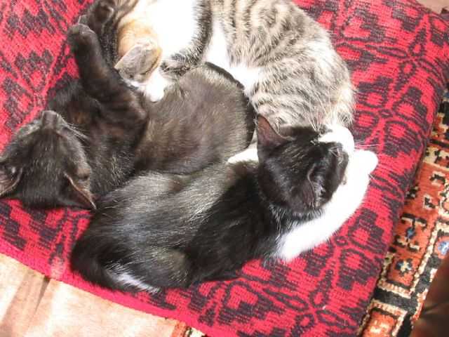 12_1207585426.jpg